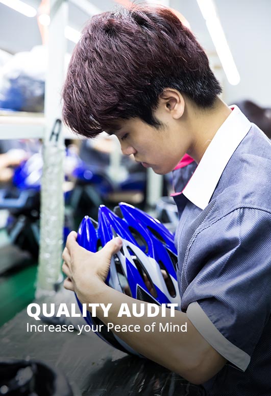 Quality Audit