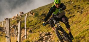 mountain bike helmet