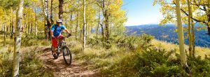 mountain bike helmet bd02
