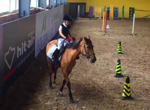 horseback riding helmet