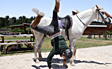 horseback riding helmet