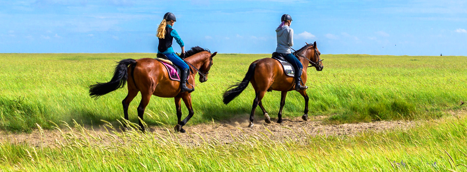 equestrian helmet wholesale