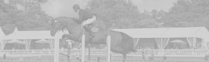 equestrian helmet wholesale