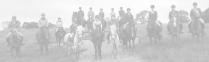 horse riding helmets
